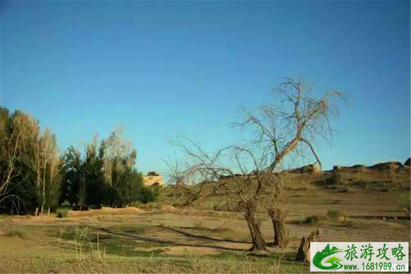 新甘州八景是哪八景 新甘州八景是哪八景