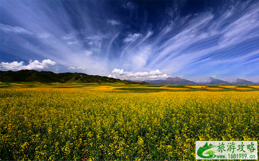 新甘州八景是哪八景 新甘州八景是哪八景