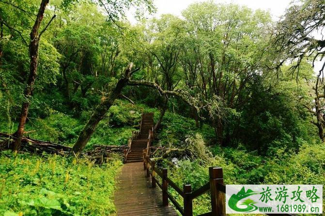 四姑娘山旅游攻略2022 四姑娘山旅游攻略2022