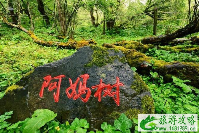 四姑娘山旅游攻略2022 四姑娘山旅游攻略2022
