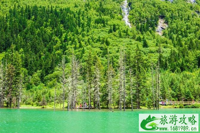 四姑娘山旅游攻略2022 四姑娘山旅游攻略2022