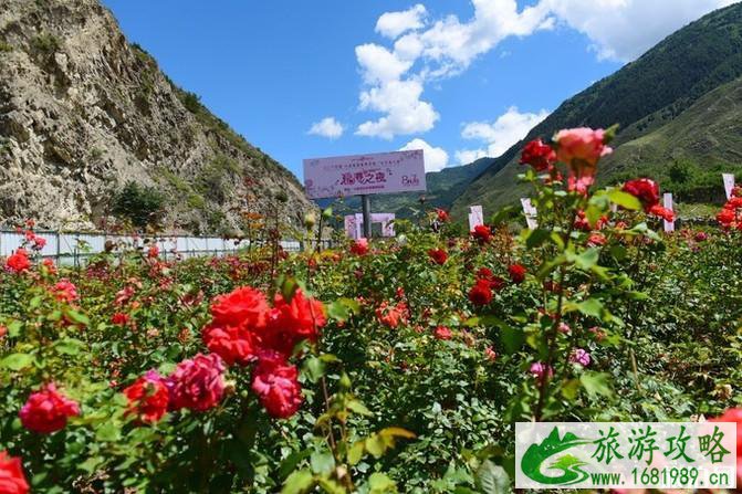四姑娘山旅游攻略2022 四姑娘山旅游攻略2022