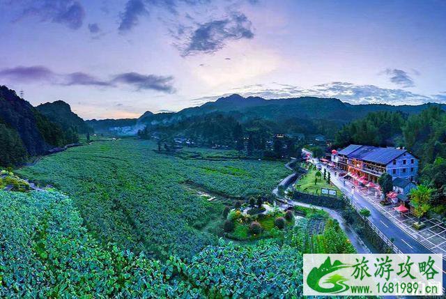 文成旅游美食攻略 文成县有什么好吃的特产 文成旅游美食攻略 文成县有什么好吃的特产