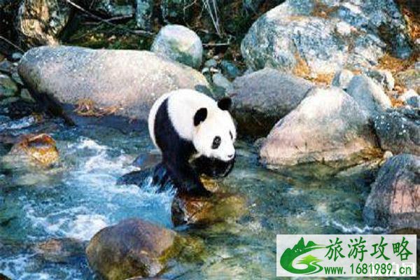 秦巴山区旅游线路攻略