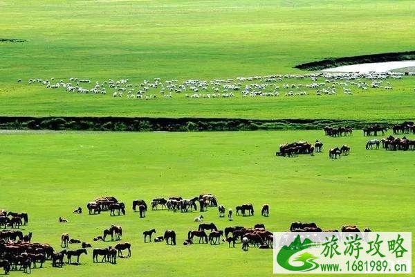 呼伦贝尔什么时候去旅游最好 呼伦贝尔什么时候去旅游最好