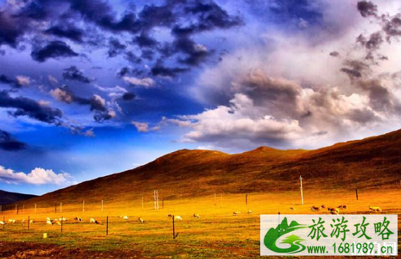 呼伦贝尔什么时候去旅游最好 呼伦贝尔什么时候去旅游最好