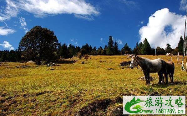 2022年9月份适合去哪里旅游 2022年9月份适合去哪里旅游
