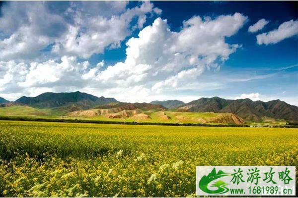 甘南夏季温度 夏季甘南旅游攻略