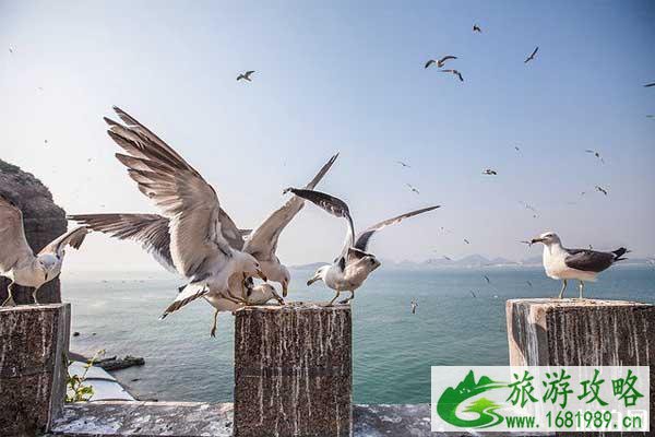 七夕最适合情侣去的海岛推荐 国内海岛旅游推荐