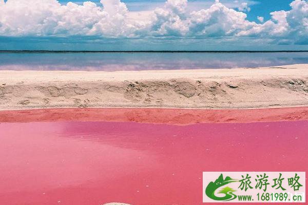 墨西哥粉红湖形成原因 墨西哥粉红湖攻略