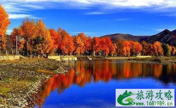 2022年适合自驾游的路线推荐 2022年适合自驾游的路线推荐