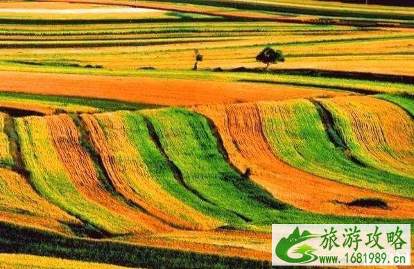 2022年适合自驾游的路线推荐 2022年适合自驾游的路线推荐