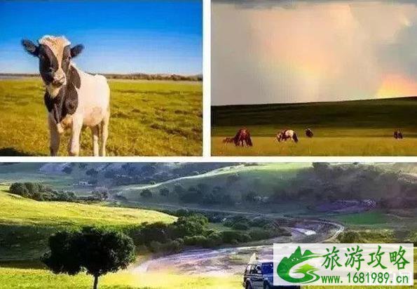 2022年适合自驾游的路线推荐 2022年适合自驾游的路线推荐
