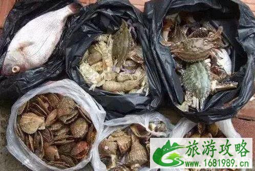 2022年适合自驾游的路线推荐 2022年适合自驾游的路线推荐