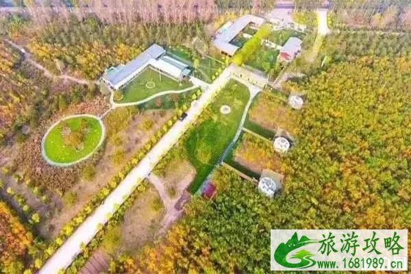 旺森星空露营基地价格