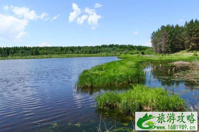 塞罕坝御道口自驾游旅游攻略 塞罕坝御道口自驾游旅游攻略