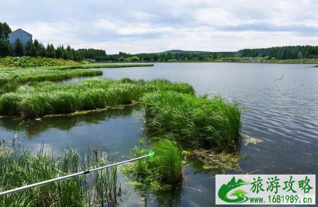 塞罕坝御道口自驾游旅游攻略 塞罕坝御道口自驾游旅游攻略