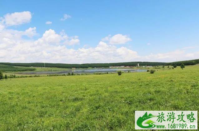 塞罕坝御道口自驾游旅游攻略 塞罕坝御道口自驾游旅游攻略