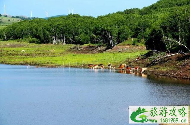塞罕坝御道口自驾游旅游攻略 塞罕坝御道口自驾游旅游攻略