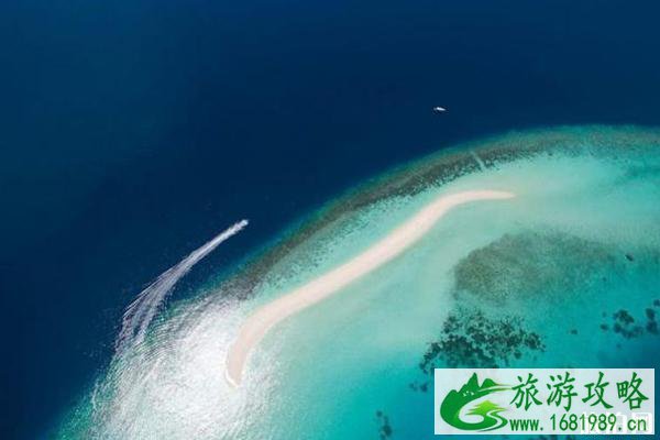 马尔代夫哈拉薇莉岛是几星岛 马尔代夫哈拉薇莉岛怎么样
