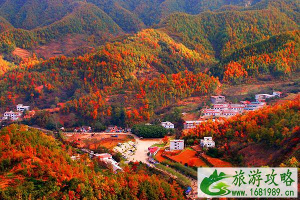 养子沟景区门票多少钱 养子沟景区门票优惠政策 养子沟景区门票多少钱 养子沟景区门票优惠政策