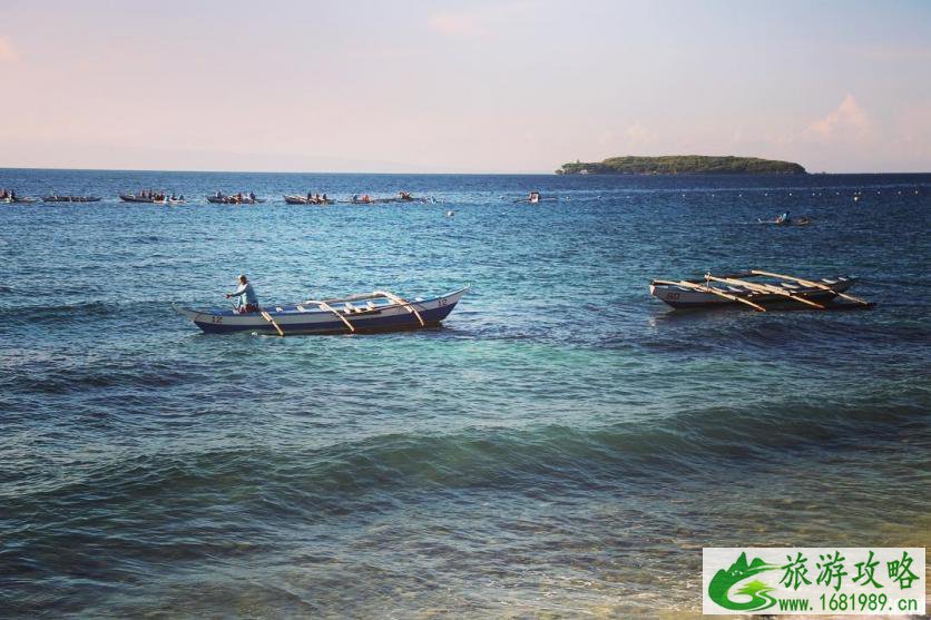 鲸鲨小镇观赏攻略 鲸鲨小镇哪里可以看鲸鲨 鲸鲨小镇观赏攻略 鲸鲨小镇哪里可以看鲸鲨