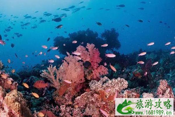 免签海岛游推荐