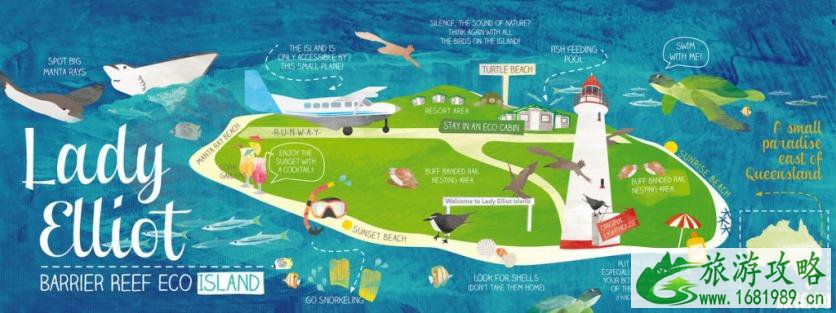 大堡礁伊利特夫人岛游玩攻略 大堡礁伊利特夫人岛游玩攻略