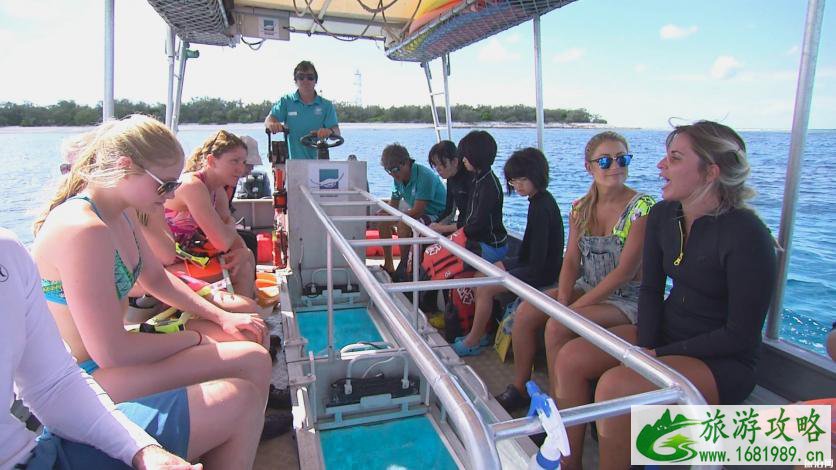 大堡礁伊利特夫人岛游玩攻略 大堡礁伊利特夫人岛游玩攻略