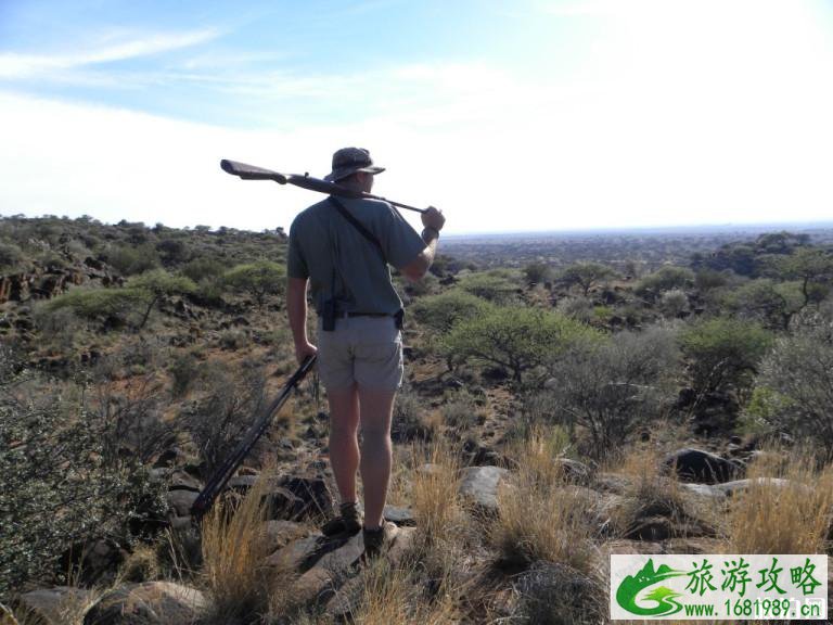 南非特色玩法 南非交通出行指南 南非特色玩法 南非交通出行指南