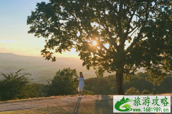 若草山开放时间 若草山在哪里 若草山开放时间 若草山在哪里