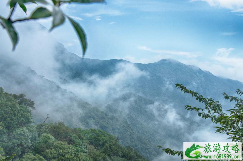 梵净山有什么看点 梵净山有什么看点