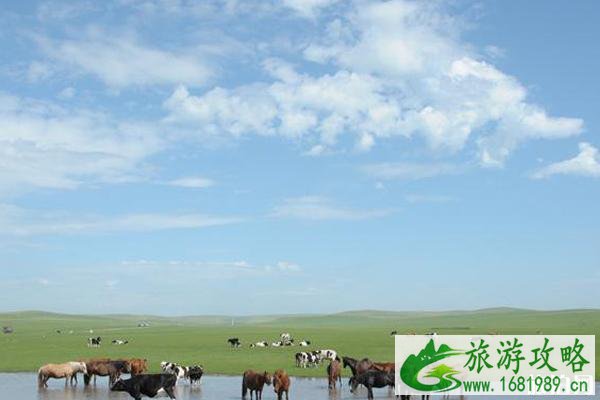 八月旅游国内最佳地点推荐