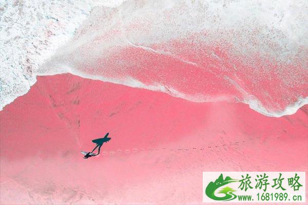 粉色沙滩属于哪个国家 粉色沙滩在哪里 粉色沙滩属于哪个国家 粉色沙滩在哪里
