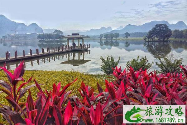 南宁花花大世界门票多少钱 南宁花花大世界门票多少钱