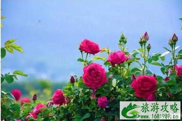 南宁花雨湖景区门票+玻璃栈道费用