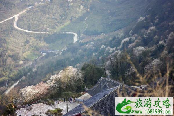 云龟山风景区门票价格多少钱+地址+开放时间 云龟山风景区门票价格多少钱+地址+开放时间