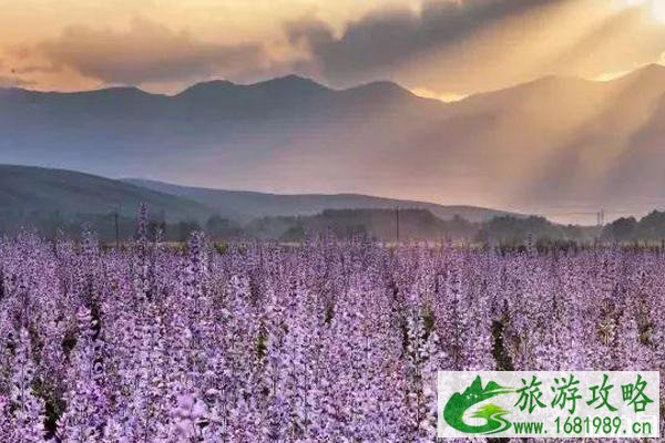 七月昭苏温度适合避暑吗 七月昭苏旅游景点哪些好 七月昭苏温度适合避暑吗 七月昭苏旅游景点哪些好