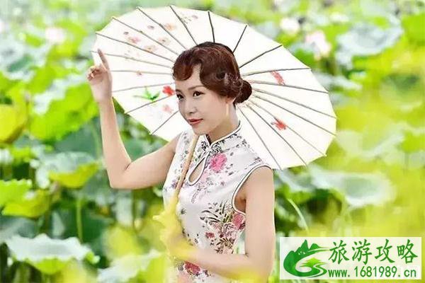 韶关始兴县顿岗镇荷花观赏指南