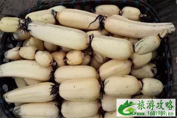 韶关始兴县顿岗镇荷花观赏指南