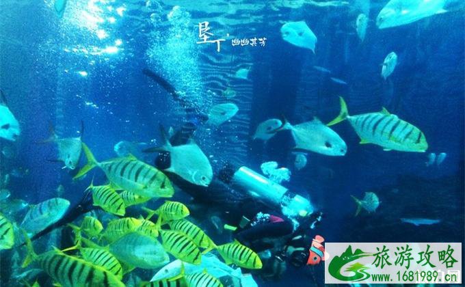 大陆怎么去垦丁 垦丁有哪些地方好玩 大陆怎么去垦丁 垦丁有哪些地方好玩