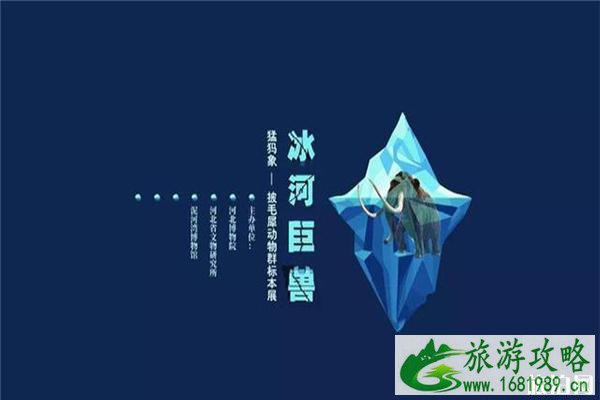 2022暑假河北博物馆冰河巨兽猛犸象展览介绍