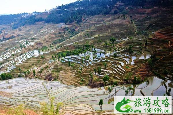 红河旅游攻略 红河值得一去的景点 红河旅游攻略 红河值得一去的景点