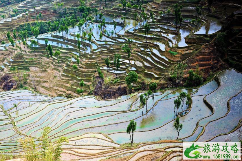 红河旅游攻略 红河值得一去的景点 红河旅游攻略 红河值得一去的景点