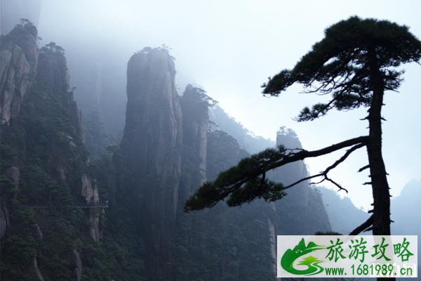 三清山最佳旅游时间 三清山有哪些美景 三清山最佳旅游时间 三清山有哪些美景
