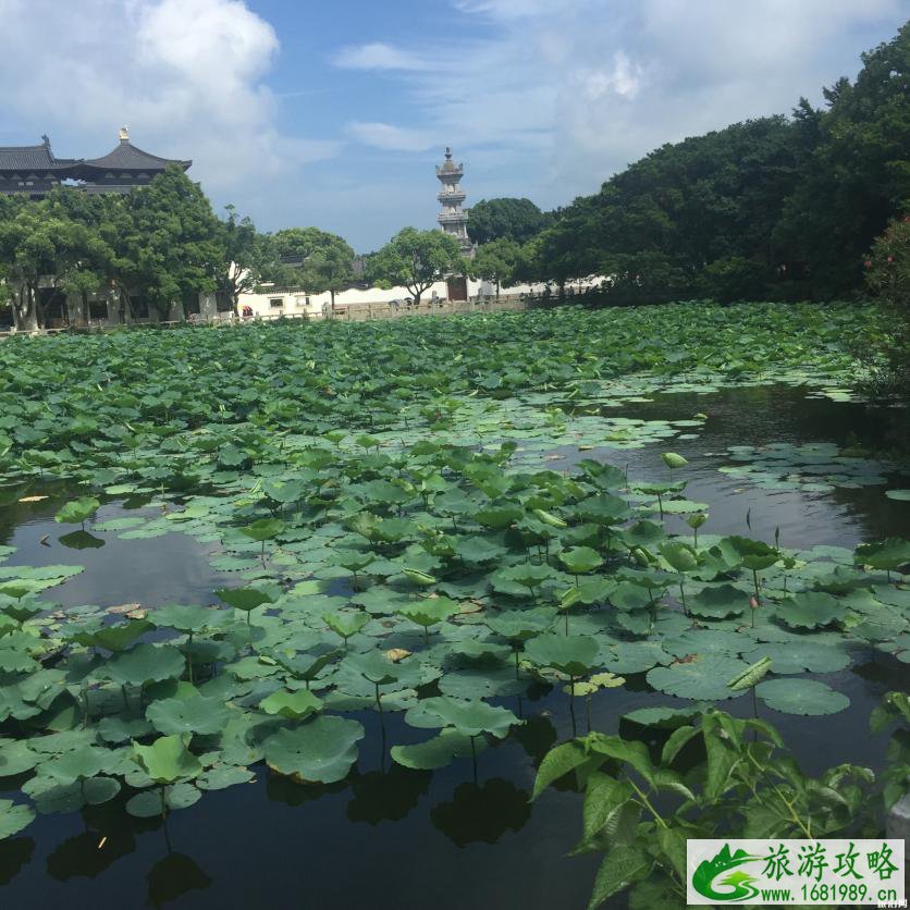 佛陀山值得去的景点 佛陀山景点推荐 佛陀山值得去的景点 佛陀山景点推荐