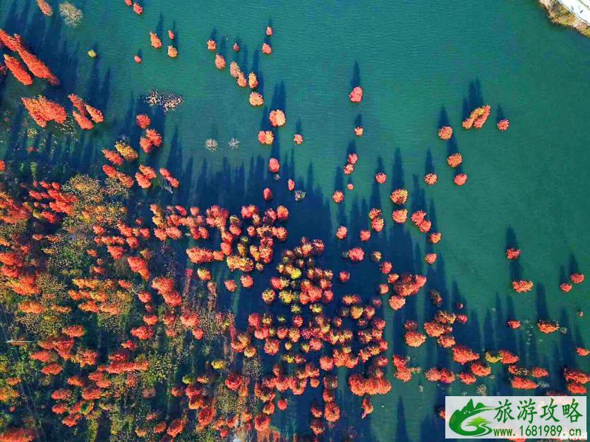四明湖最佳旅游时间 四明湖在哪里 四明湖最佳旅游时间 四明湖在哪里