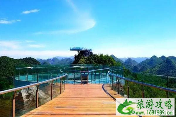 2022百里杜鹃首届旅游文化科技节 活动+内容+门票 2022百里杜鹃首届旅游文化科技节 活动+内容+门票