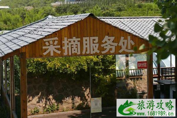 2022北京樱桃采摘园推荐-北京樱桃采摘在哪里 2022北京樱桃采摘园推荐-北京樱桃采摘在哪里