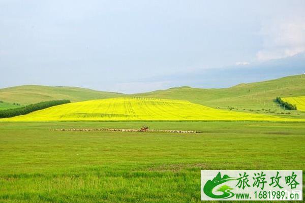 原野有机牧场要门票吗 原野有机牧场停车费多少钱 原野有机牧场要门票吗 原野有机牧场停车费多少钱